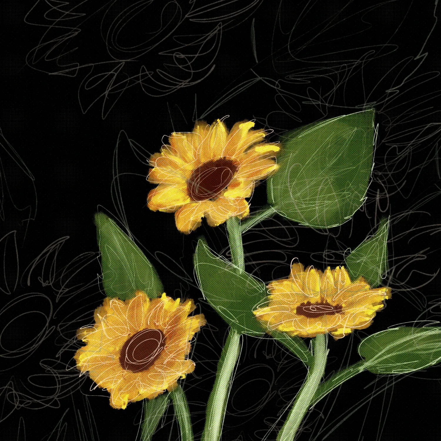 Three sunflowers on a black ground covered in loose grey scribbles